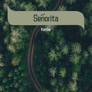 Shawn Mendes-Señorita（Keyfm remix）