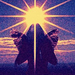 Conejo En El Recuadro