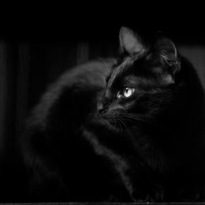 restless (untitled rock band)