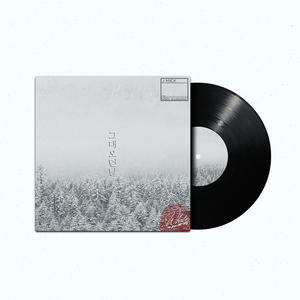 그대 오던 날