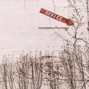 秋日之夜 (放松)