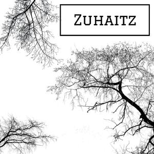 Zuhaitz
