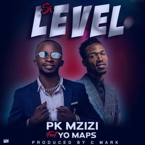 Pk Mzizi (Si level) (feat. Yo maps)