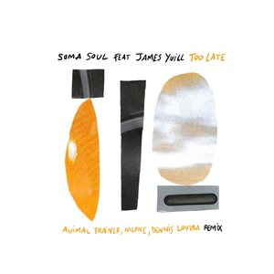 Too Late (Animal Trainer Remix)