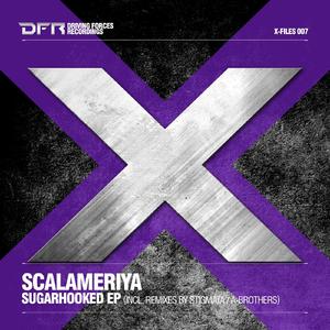 Sugarhook (A-Brothers Remix)