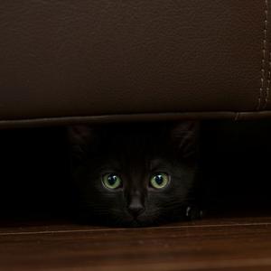 poker face (Slowed + Reverb)