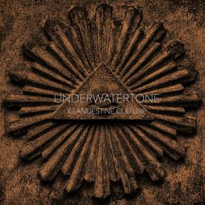 The Wind Among The Reeds