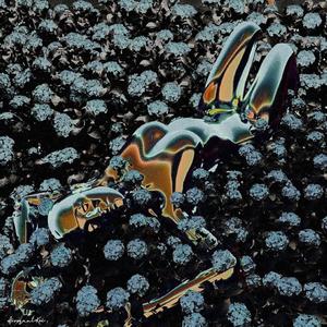 nosleep (feat. 2muddy)