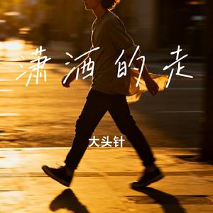 潇洒的走