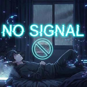 No Signal