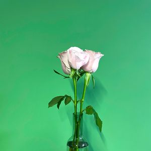 锚择南(Prod.Gr33nart Beats)