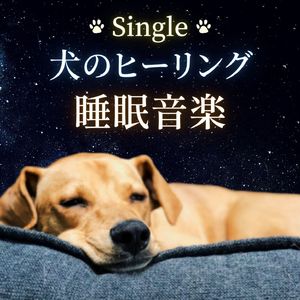 犬のヒーリング睡眠音楽 - Single