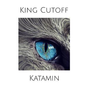 Katamin