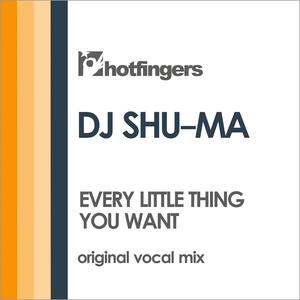 Every Little Thing You Want (Original Vocal Mix)