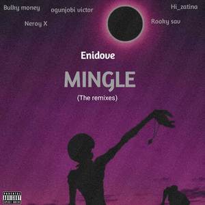 Mingle (Remix)