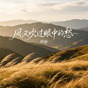 风又吹过眼中的愁