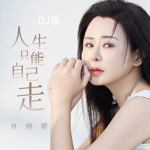 人生只能自己走 (DJ版)