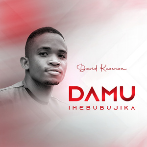 Damu Imebubujika