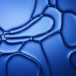 为拥有耗尽一生