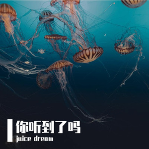 你听到了吗.prod.by CuD