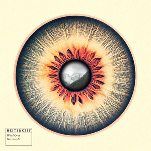 Wind Over Grasslands