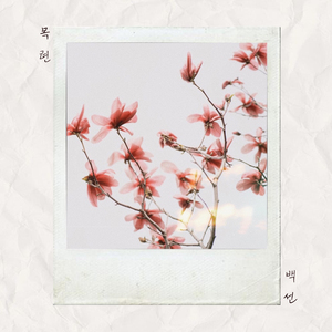 목련 (Prod. 이츠) (feat. 이츠)