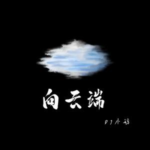 向云端（DJ小辞Remix）