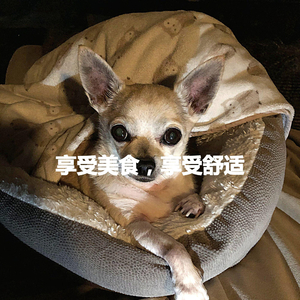 Lively Moods for Sweet Salvations