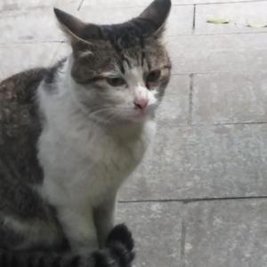 你也没有错（cover陳梦嘉）