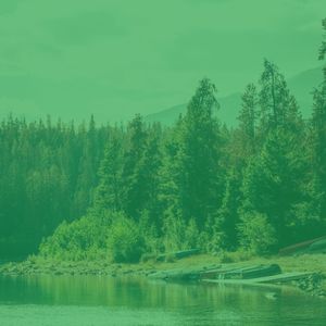 精彩周日的早午餐环境