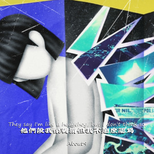 他们说我像刺猬但我不这么认为