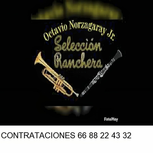Sinaloense Pávido Loba y Agraristas (En Vivo)
