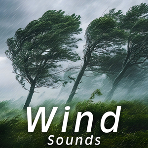 Lonely Planet Wind