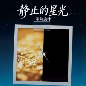 《静止的星光》 （#未显影的照片）