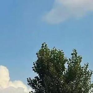 红豆