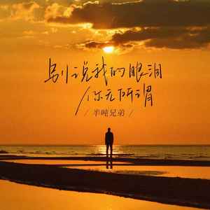 别说我的眼泪你无所谓 (DJheap九天版)