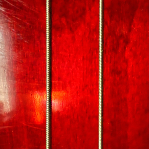 Your Baby Has Kicked Me in the Back (Live)