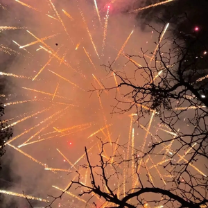 我太笨（降调伴奏）