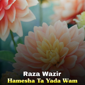 Da Ta Pa Kom Lore Rawan We