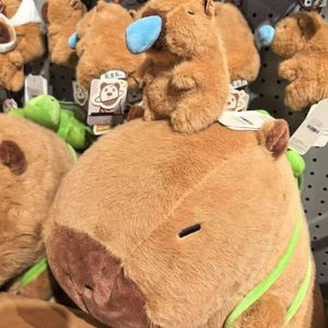 你是不是也想和我一起走走