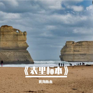 七秒标本