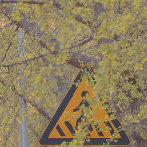 我们都在追梦路上