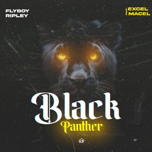 Black Panther (feat. Excel Macel)