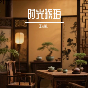 时光琥珀