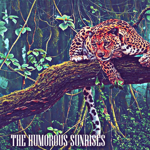 The Humorous Sunrises