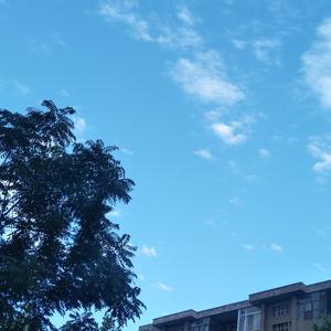 回留 (cover.方大同)