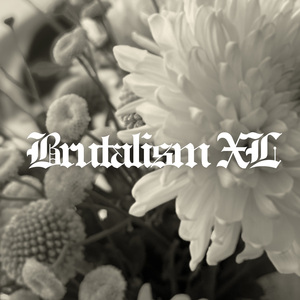 Interlude
