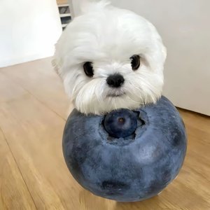 以后你的疲惫我来擦