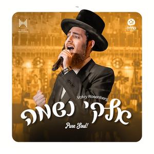 Elokai (Alma) [עלמא] (feat. Mendy Hershkowitz Band & The Shira Choir)