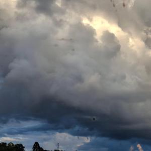 Where Are My Parents?